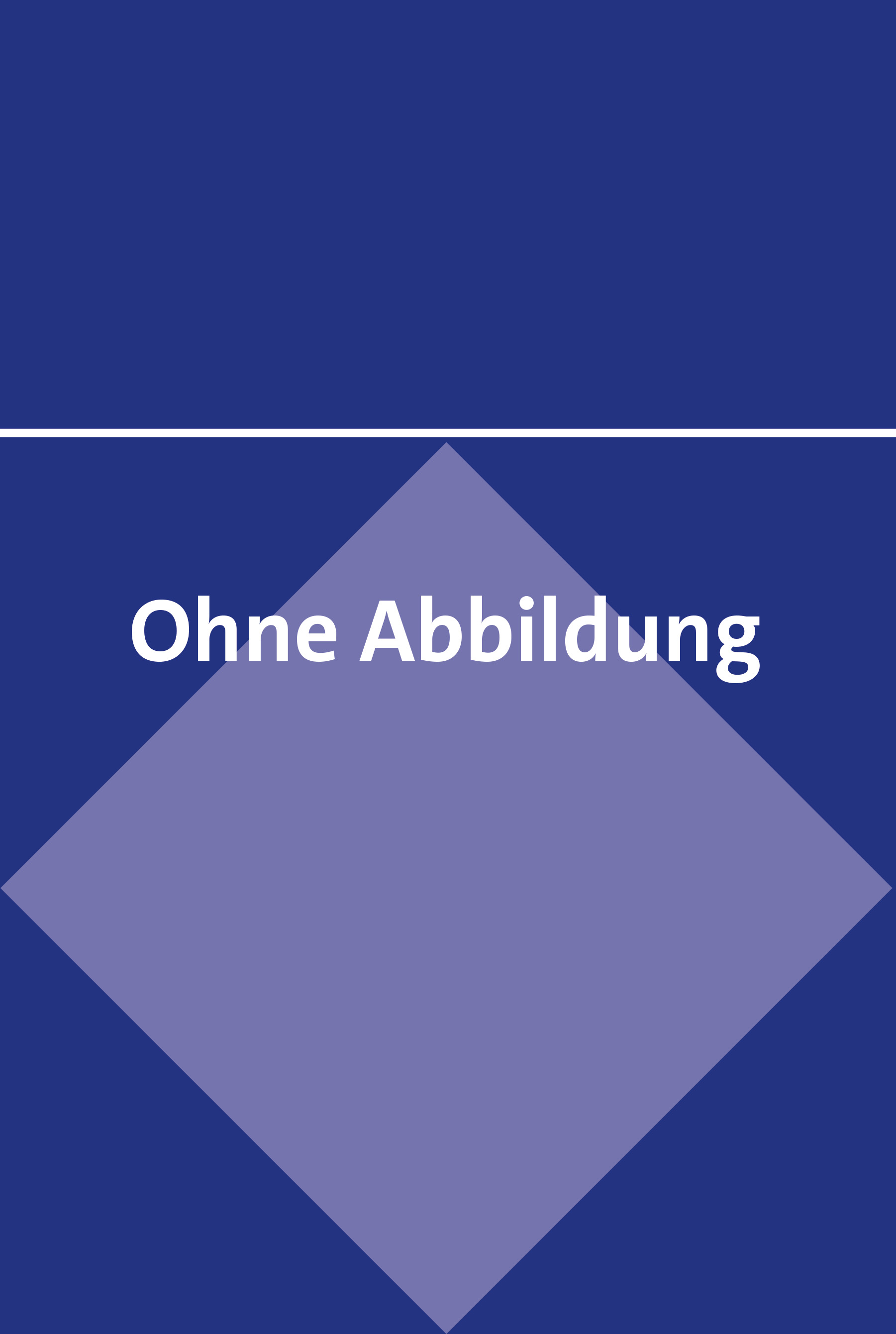 Der digitale Bürger und seine Identität